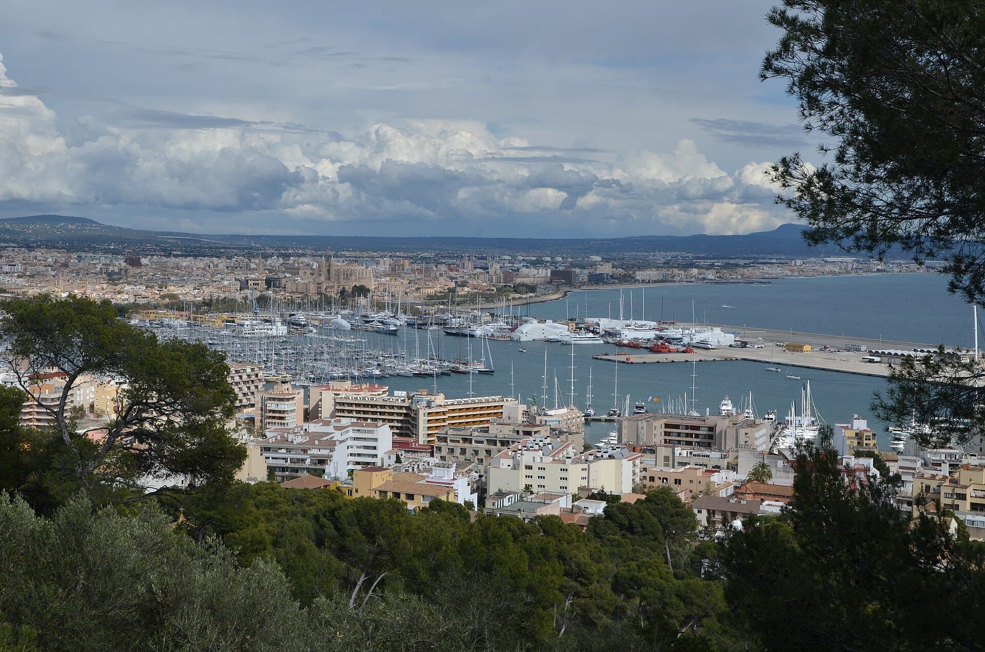 Hafen von Palma de Mallorca