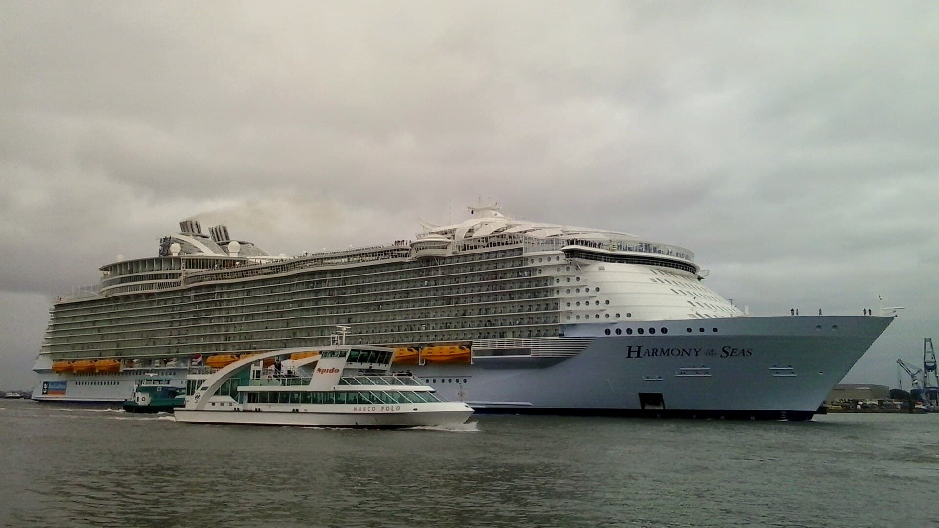Kreuzfahrtschiff Harmony of the Seas in Rotterdam
