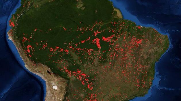 Read more about the article Amazonas-Regenwald brennt seit Wochen