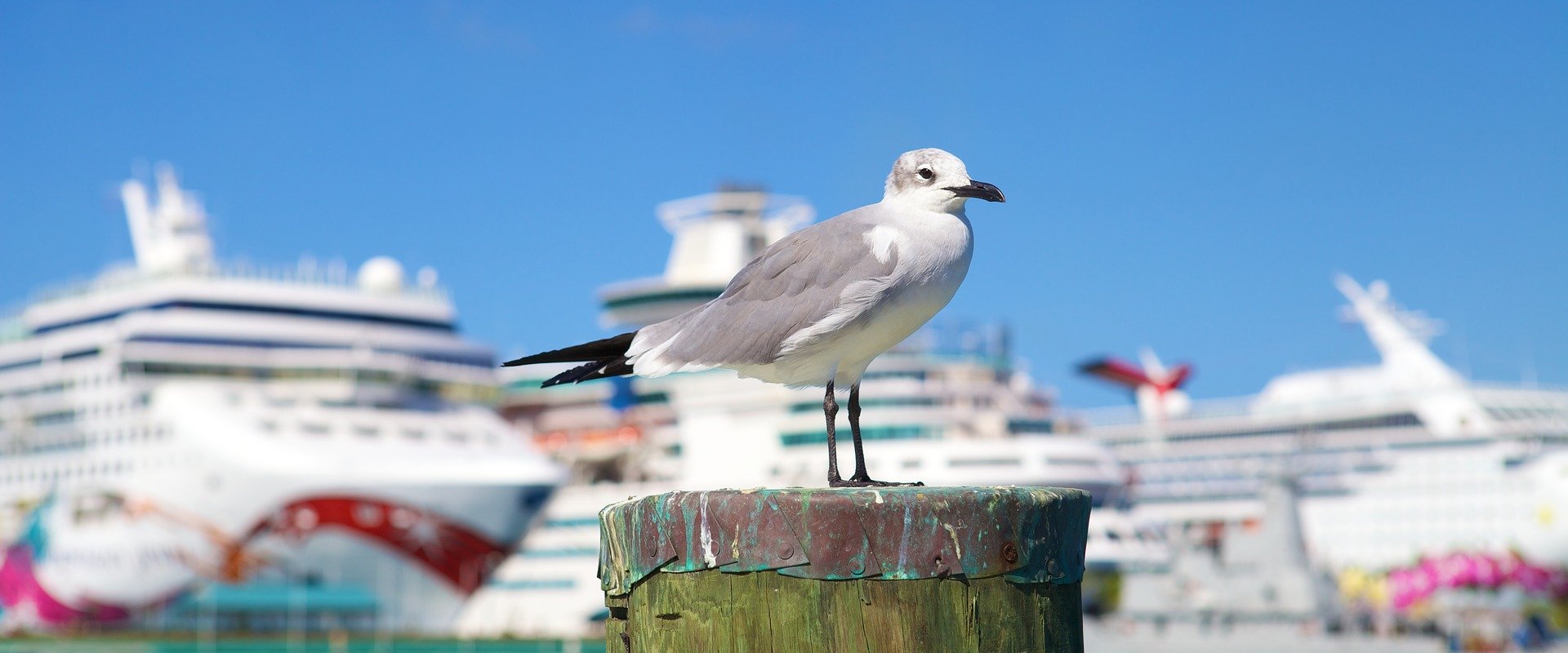 Kreuzfahrt auf Raten Kreuzfahrt auf Raten